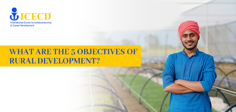 What are the 5 Objectives of Rural Development