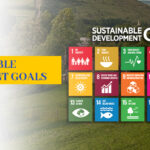 17 Sustainable Development Goals